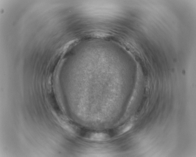 X0000088230360200706051353