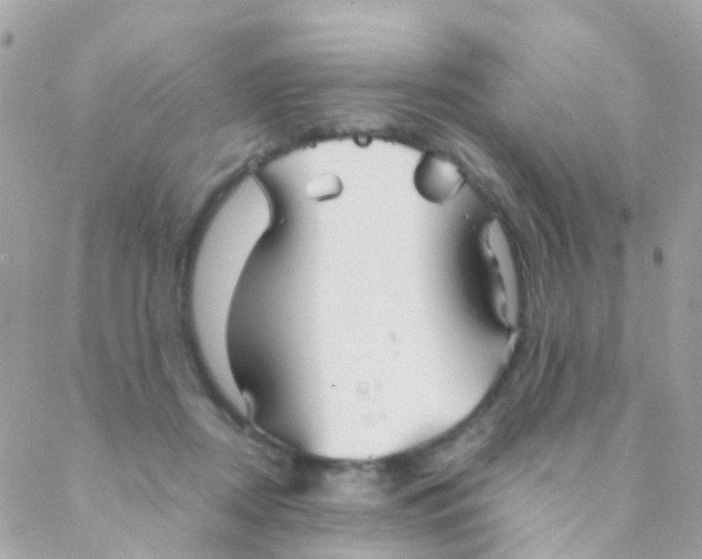 X0000088230362200706051354