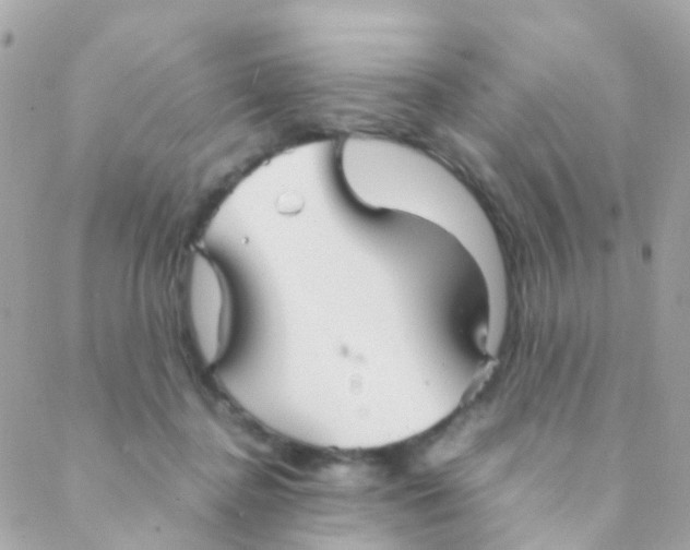 X0000088230364200706051354