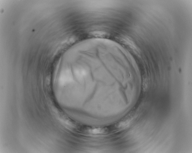 X0000088230365200706051354