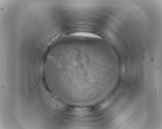 X0000088230367200706051354