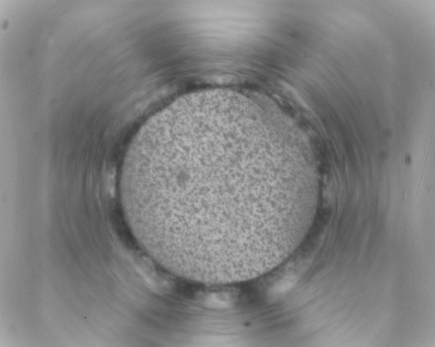 X0000088230368200706051354