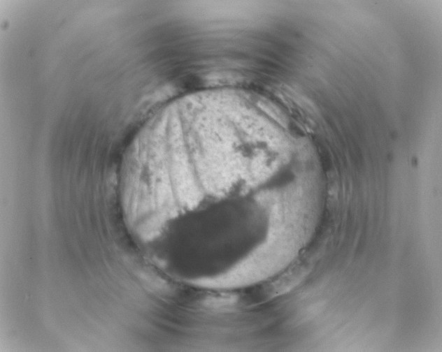 X0000088230369200706051354