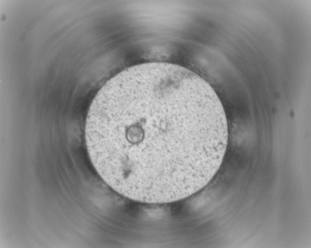 X0000088230370200706051354