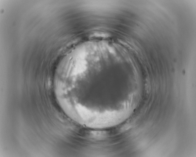 X0000088230371200706051354