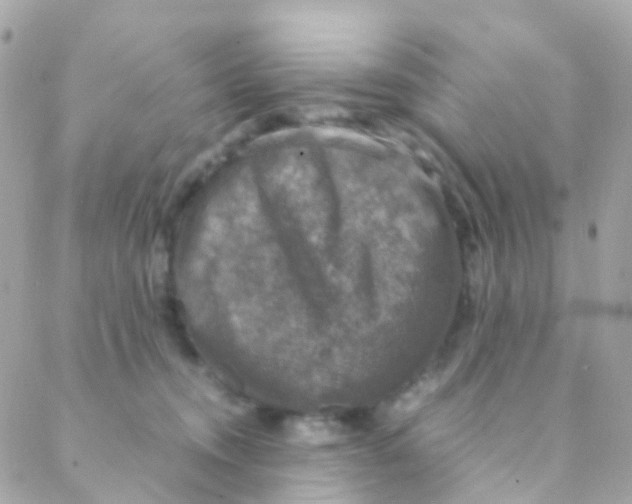 X0000088230372200706051354