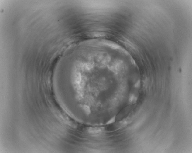 X0000088230373200706051354