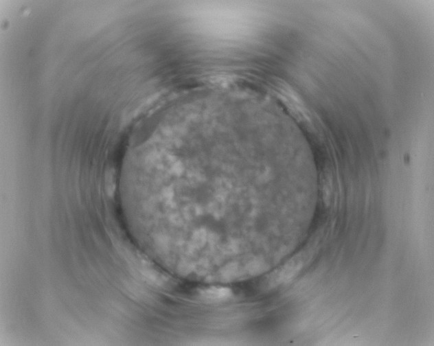 X0000088230374200706051354