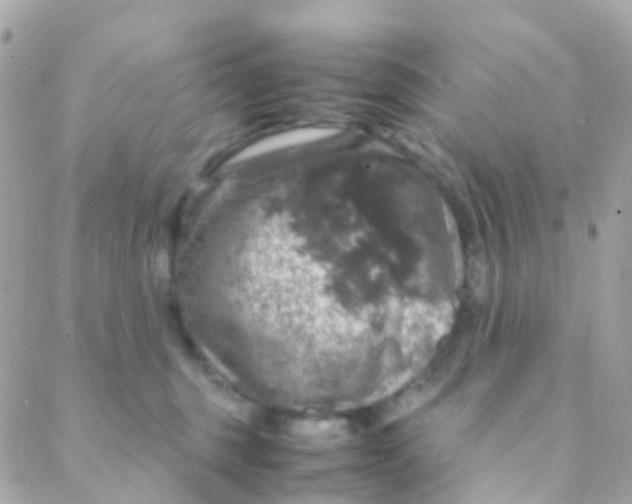 X0000088230375200706051354