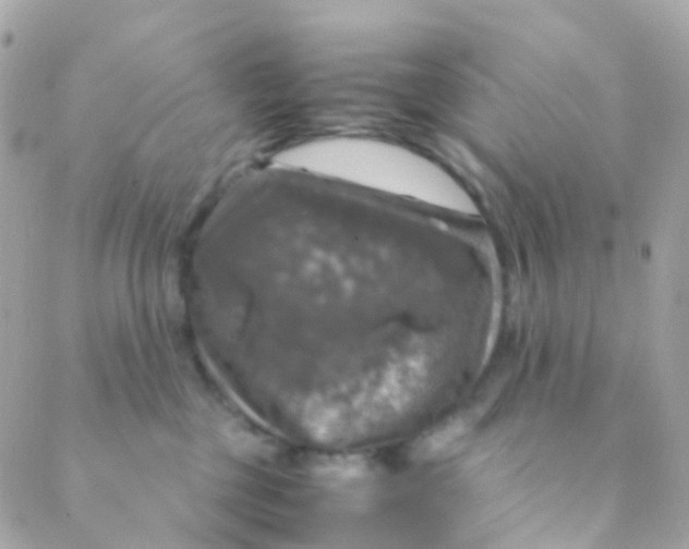 X0000088230377200706051354