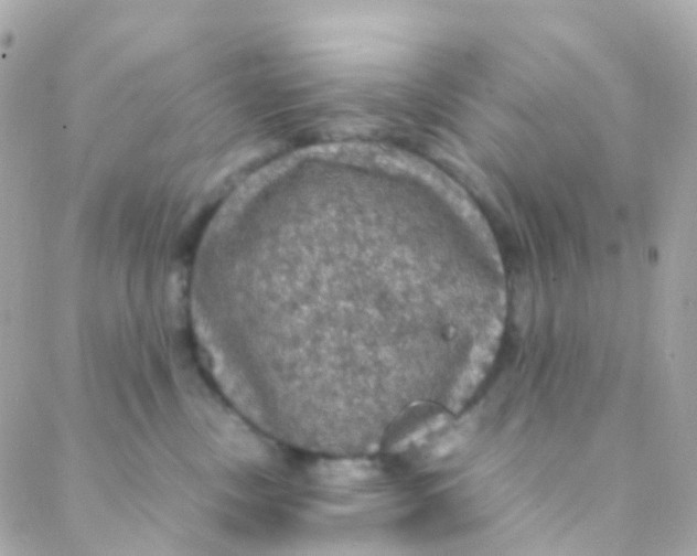 X0000088230378200706051354