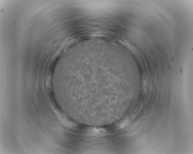 X0000088230379200706051354