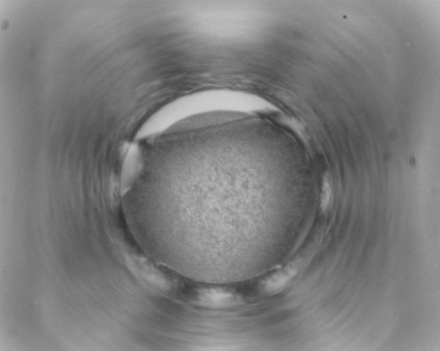 X0000088230380200706051354