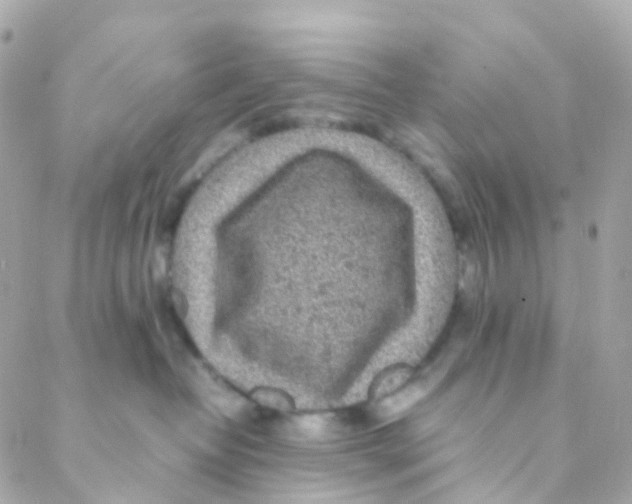 X0000088230382200706051354