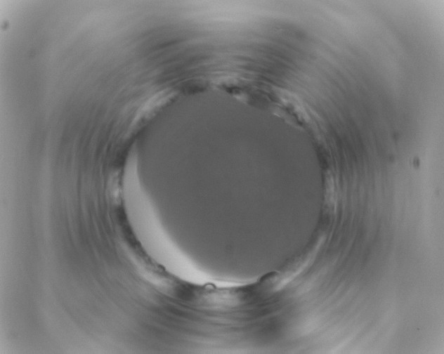 X0000088230383200706051354