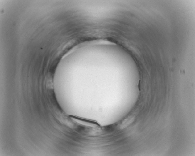 X0000088230384200706051354