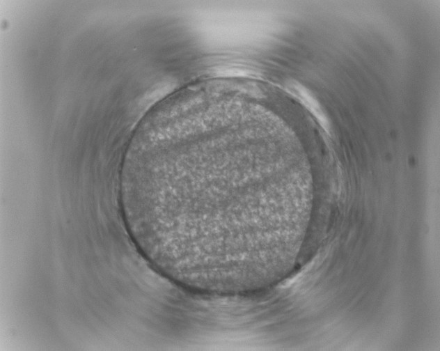 X0000088230385200706051353