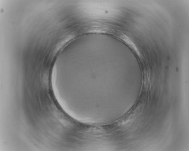 X0000088230386200706051353