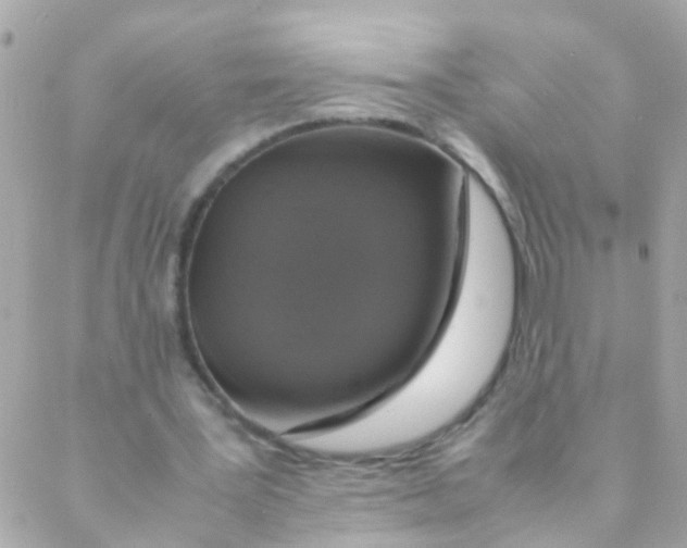 X0000088230387200706051353