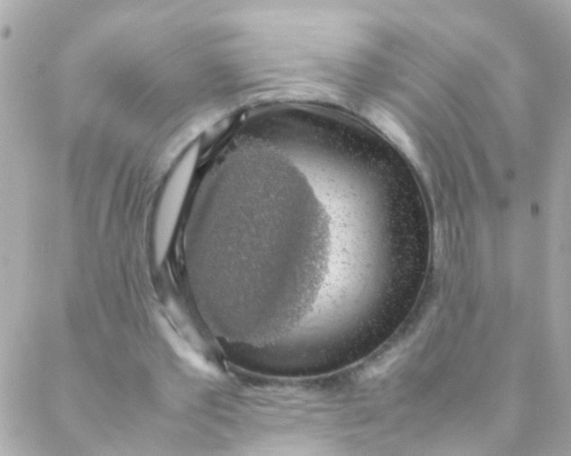 X0000088230389200706051353