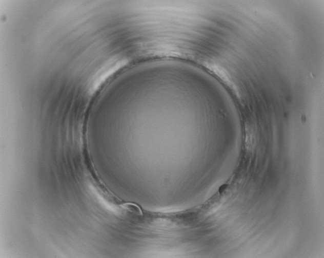 X0000088230390200706051353