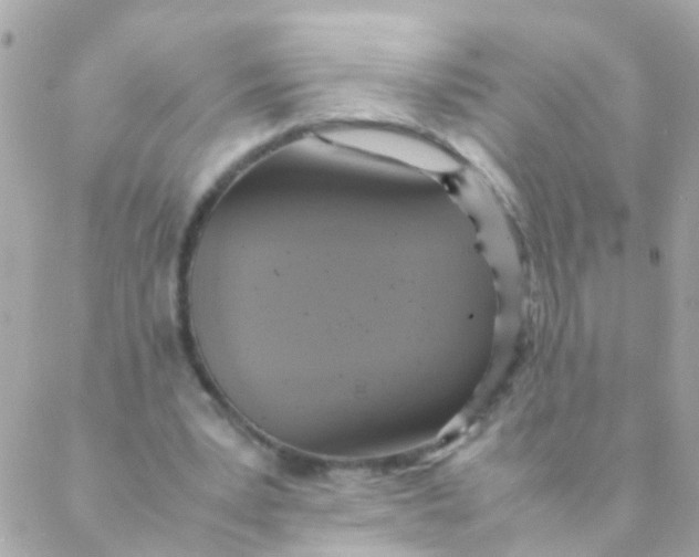 X0000088230391200706051353