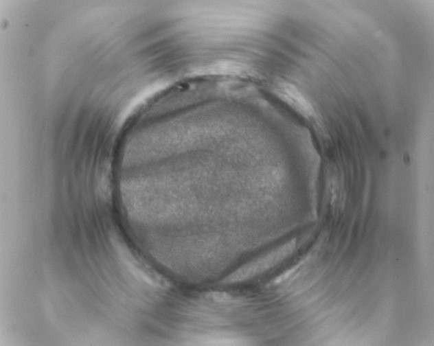 X0000088230392200706051353