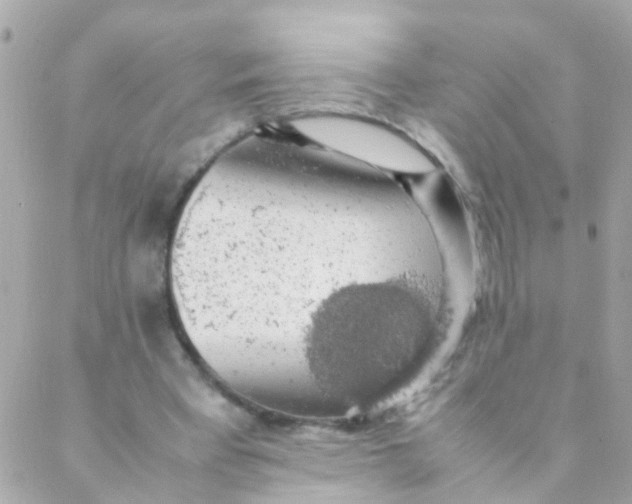 X0000088230393200706051353