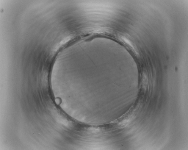 X0000088230394200706051353