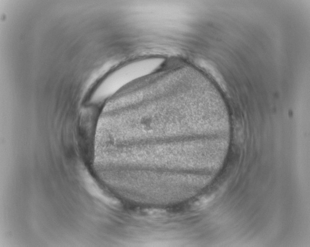 X0000088230395200706051353