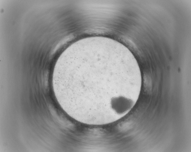 X0000088230396200706051353