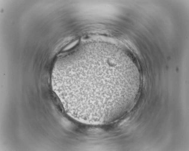 X0000088230397200706051353