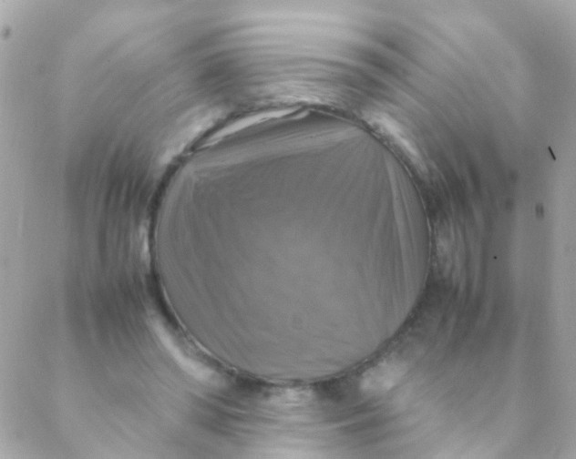 X0000088230398200706051353