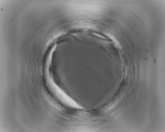 X0000088230399200706051353