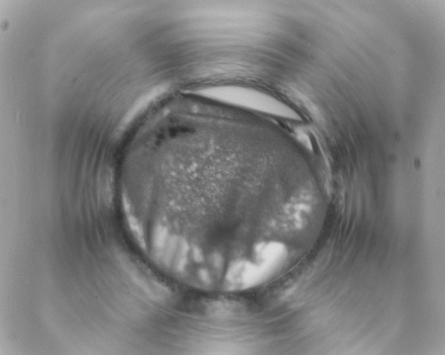 X0000088230400200706051353