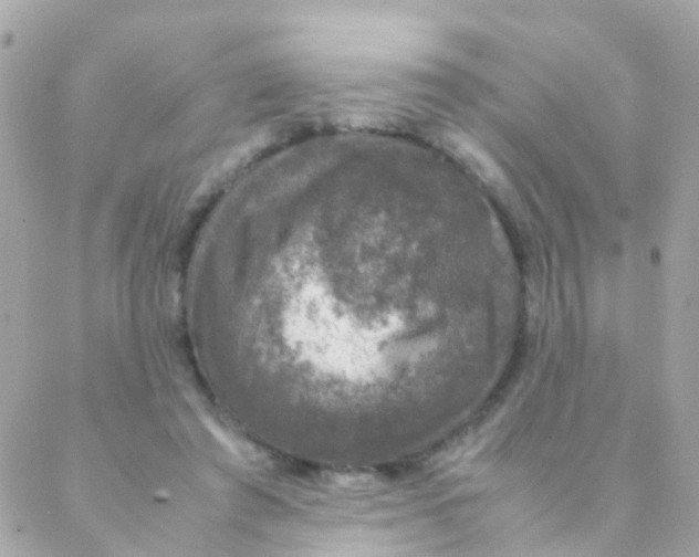 X0000088230401200706051353