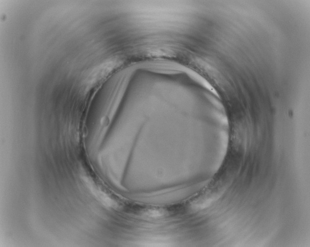 X0000088230402200706051353