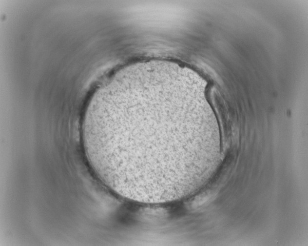 X0000088230403200706051353