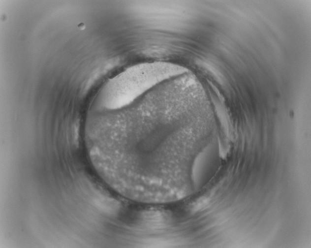 X0000088230404200706051353