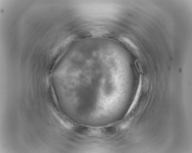 X0000088230405200706051353