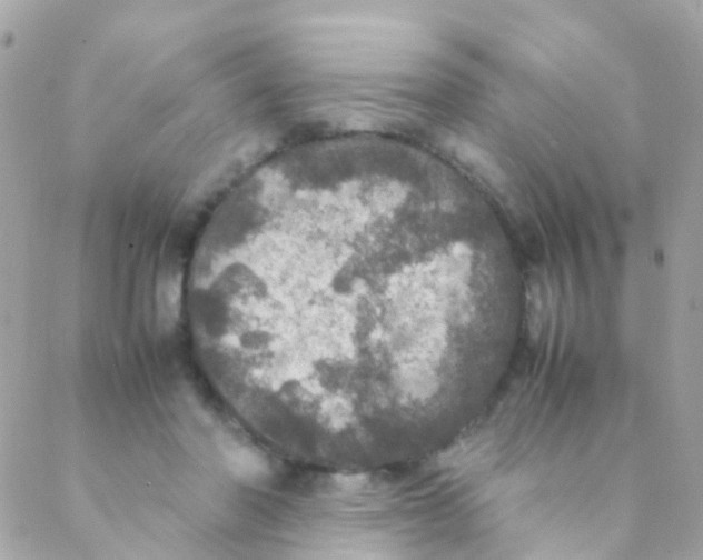 X0000088230406200706051353