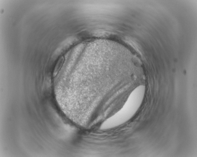 X0000088230407200706051353