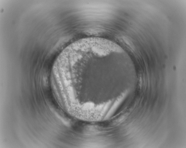 X0000088230408200706051353