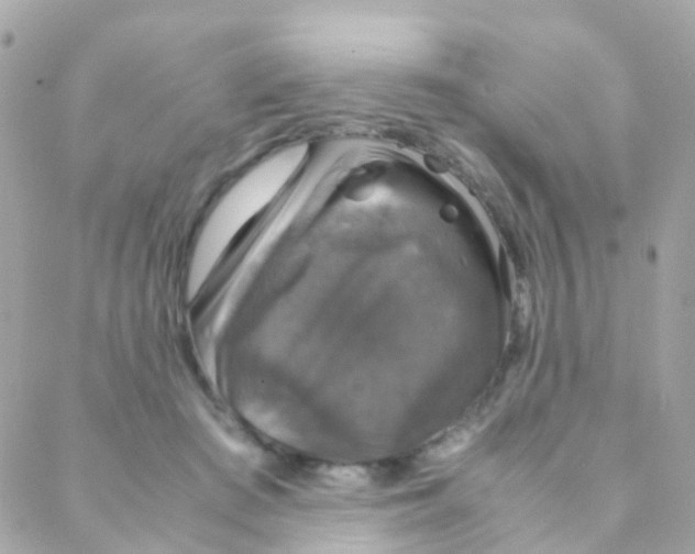 X0000088230409200706051353