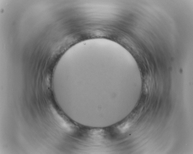 X0000088230410200706051353