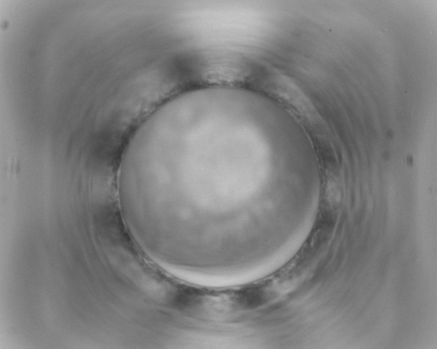 X0000088230411200706051353