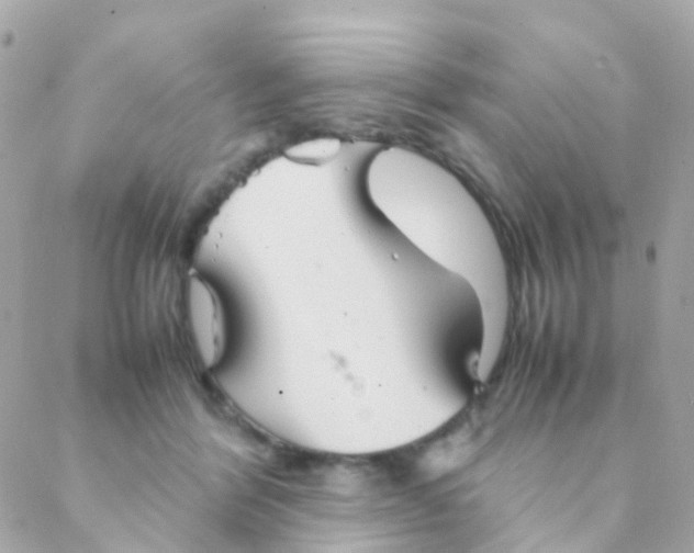 X0000088230412200706051353