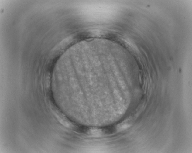 X0000088230413200706051353