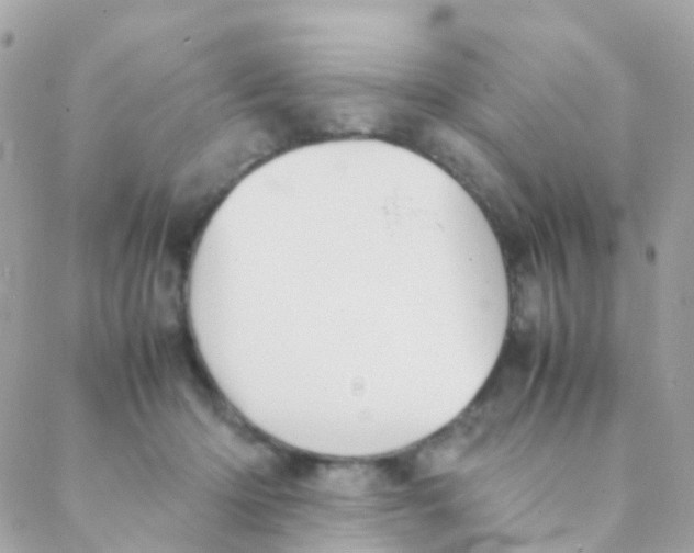 X0000088230414200706051353