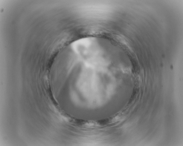 X0000088230415200706051353